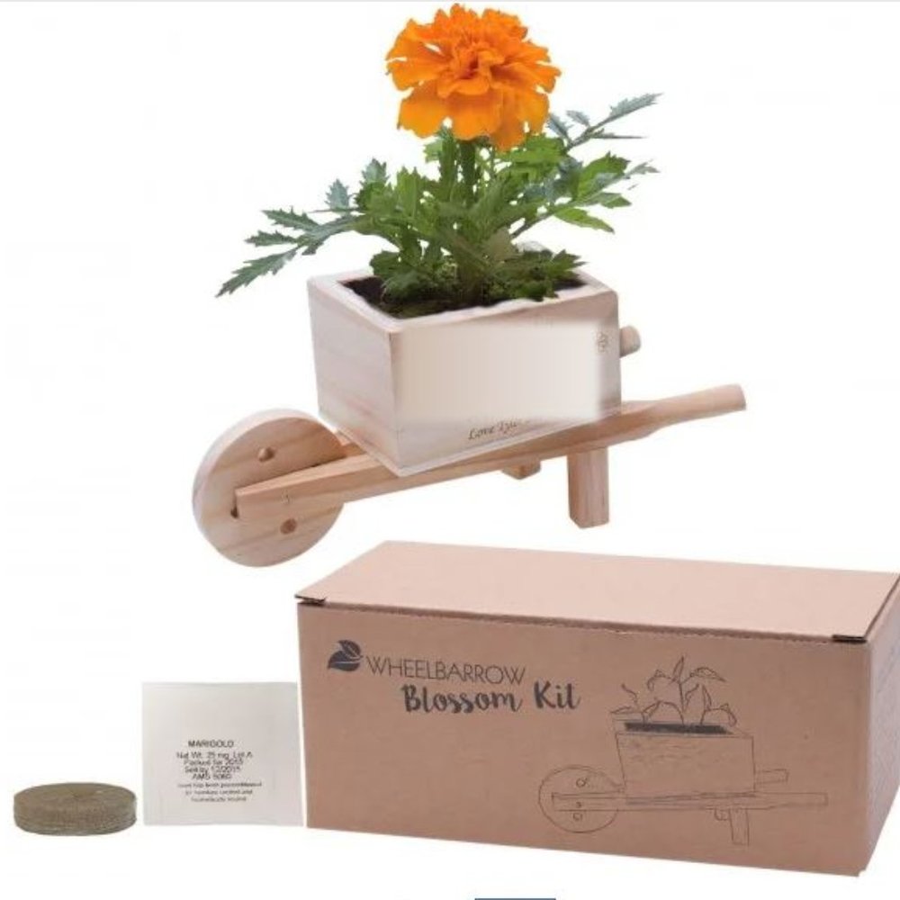 Wooden Wheelbarrow Blossom Kit
